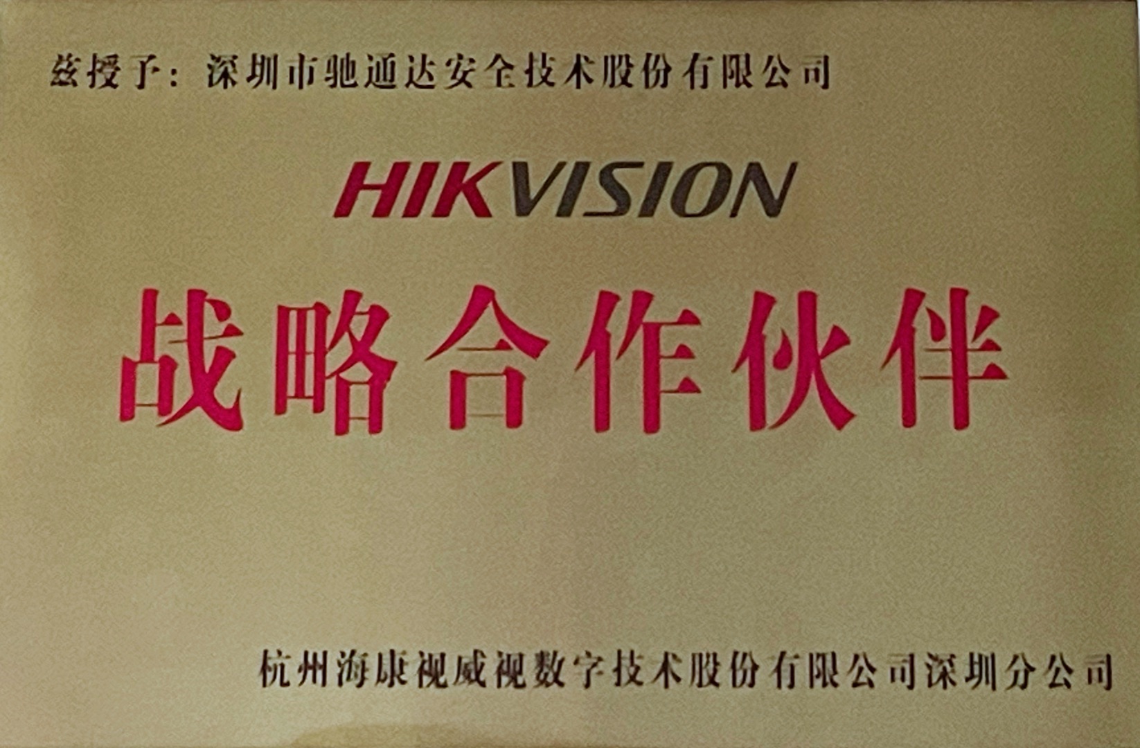 HIKVISION战略合作伙伴